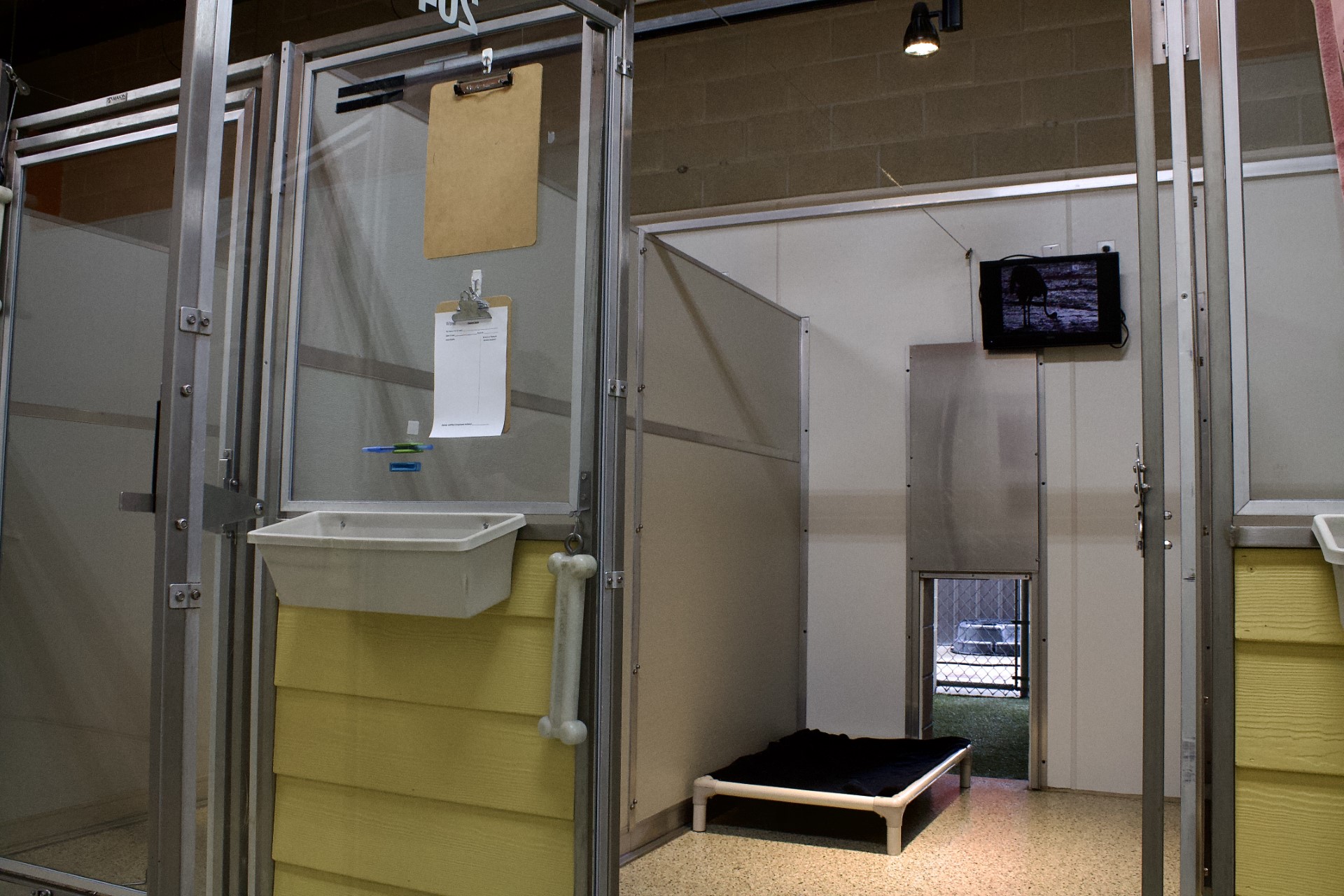 Whiskers Resort & Pet Spa Canine Boarding Grand Rapids, MI